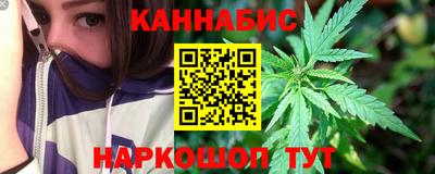 крисы Асино