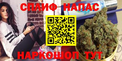кокс Можга