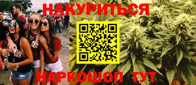 кокс Можга