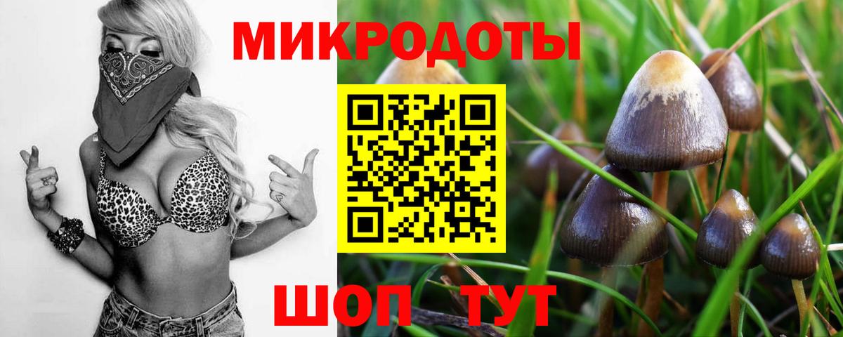 Галлюциногенные грибы мицелий  Галлюциногенные грибы ЛСД  купить наркоту  Елец  Вход с VPN 